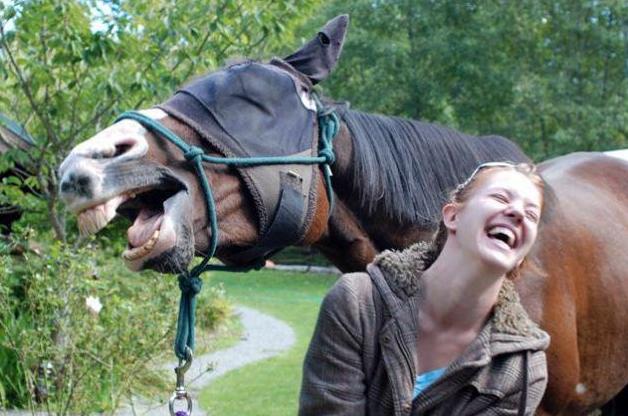 Animals-Best-Day-Ever