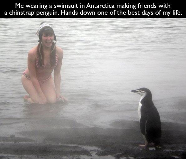 Animals-Best-Day-Ever
