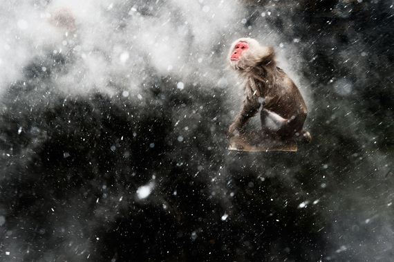 Astonishing-Photos-That