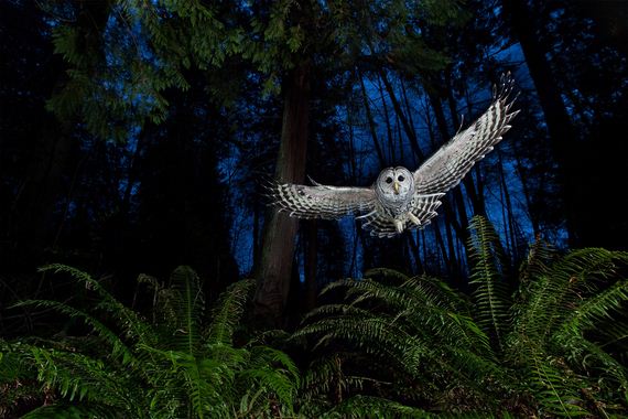 Astonishing-Photos-That