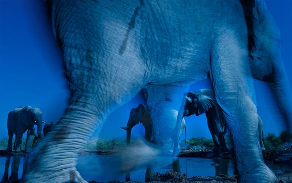 Astonishing-Photos-That