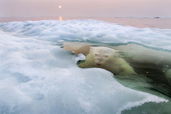 Astonishing-Photos-That