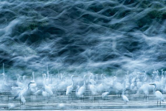 Astonishing-Photos-That