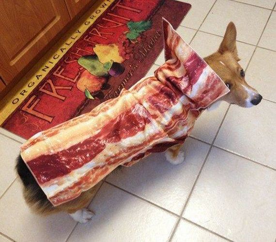Bacon-Love