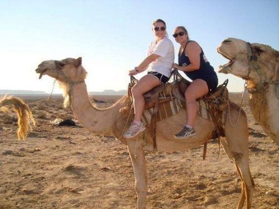 Best-Animal-Photobombs