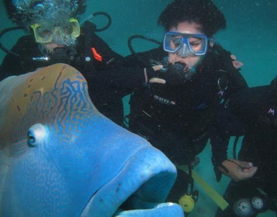 Best-Animal-Photobombs
