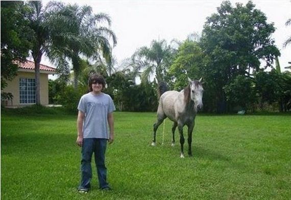 Best-Animal-Photobombs