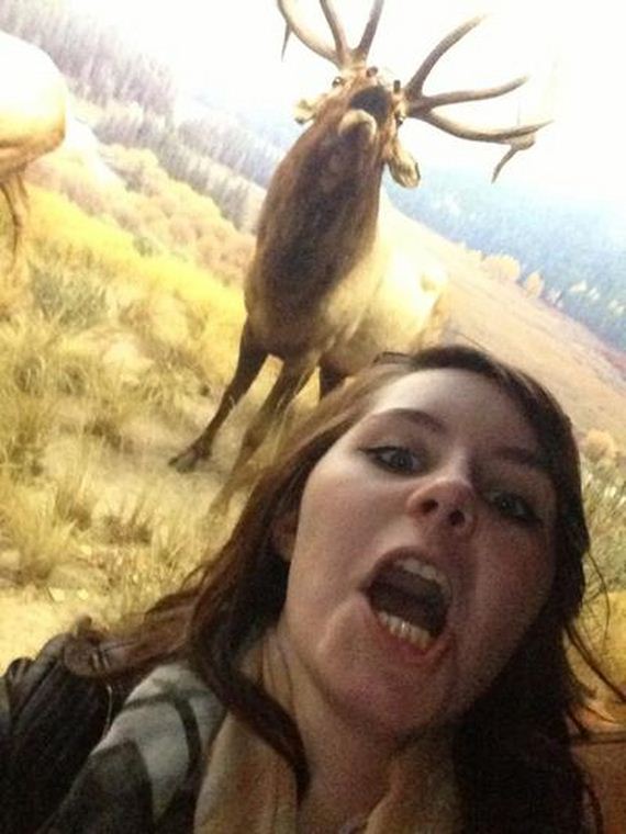 Best-Animal-Photobombs
