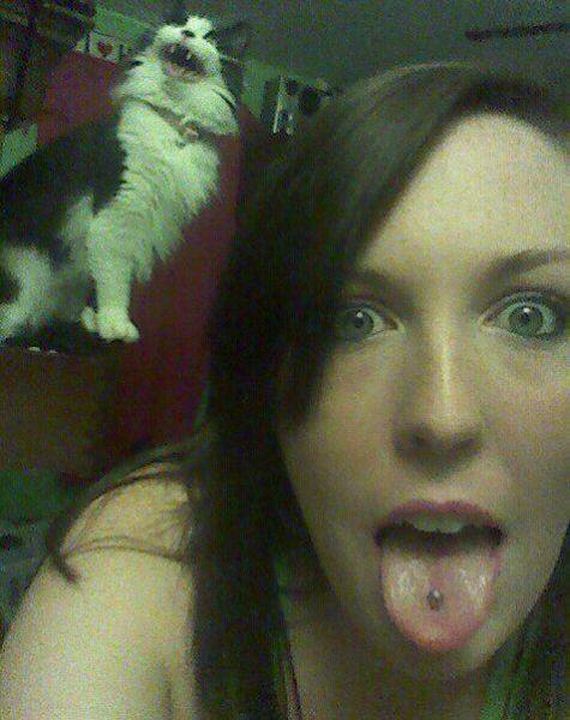 Best-Animal-Photobombs