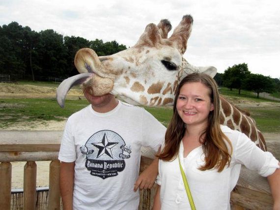 Best-Animal-Photobombs