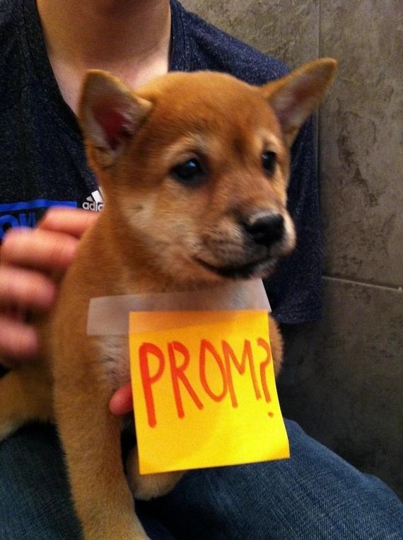 Best-Prom-Proposals