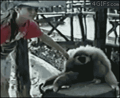 Biggest-Animal-Jerks