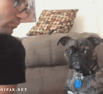 Biggest-Animal-Jerks