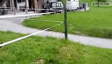 Biggest-Animal-Jerks