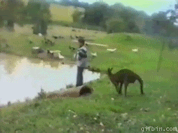 Biggest-Animal-Jerks