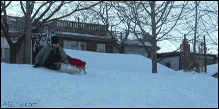 Biggest-Animal-Jerks