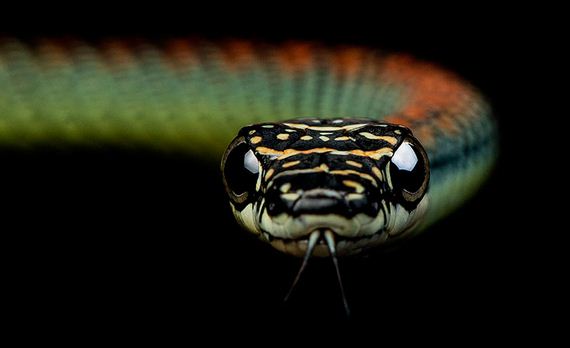 Extraordinary-Photography