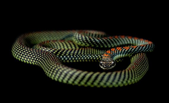 Extraordinary-Photography