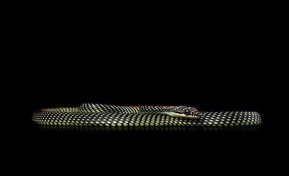 Extraordinary-Photography