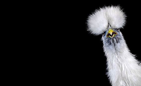 Extraordinary-Photography