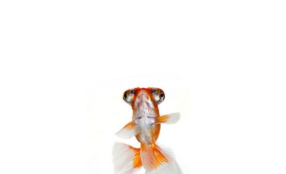 Extraordinary-Photography