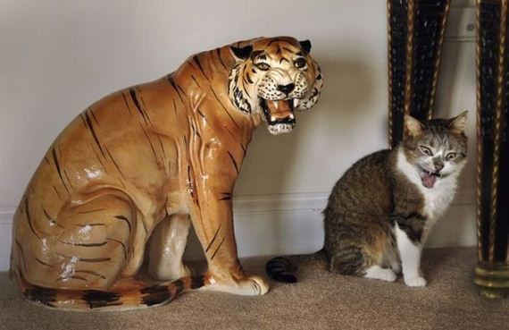 Fun-With-Statues
