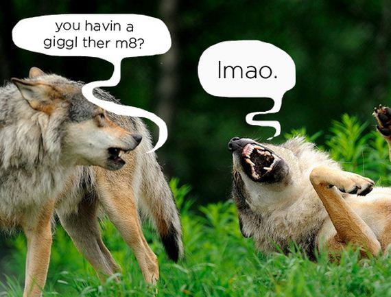 Least-Majestic-Wolves
