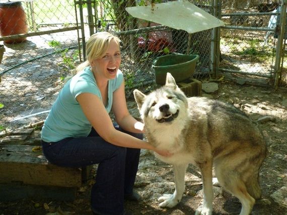 Least-Majestic-Wolves