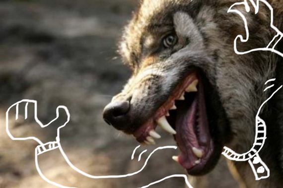 Least-Majestic-Wolves