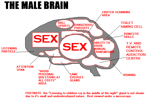 Men-Vs-Women