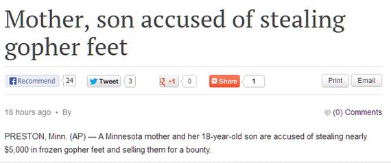 Most-Minnesotan-Things