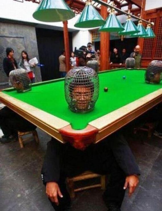 Pictures-That-Have