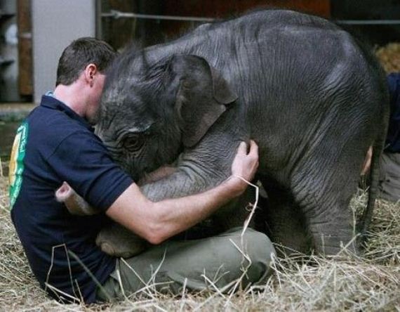 Reasons-Zookeepers-Have-the-Best