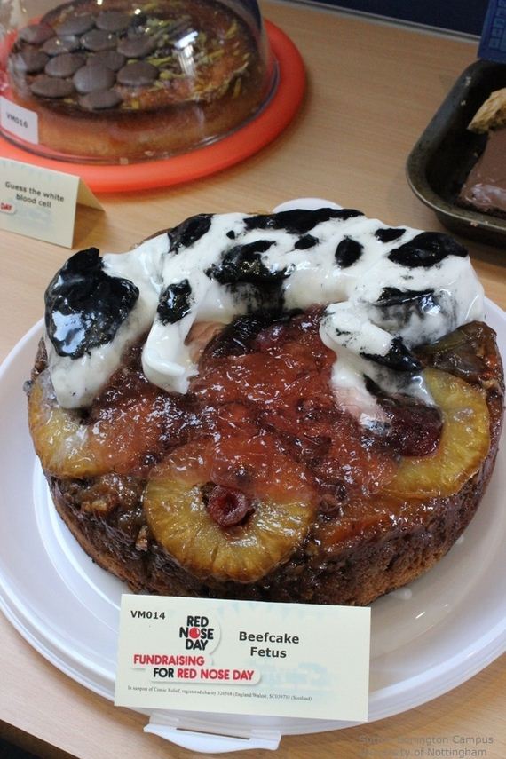Scientifically-Accurate-Cakes