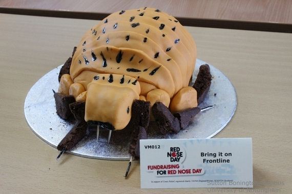 Scientifically-Accurate-Cakes
