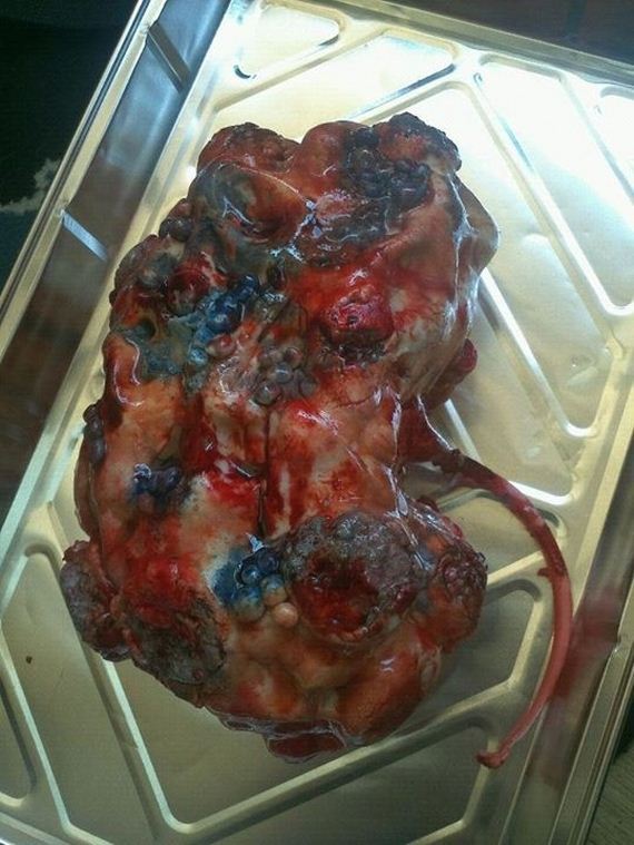 Scientifically-Accurate-Cakes