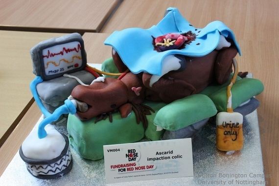 Scientifically-Accurate-Cakes