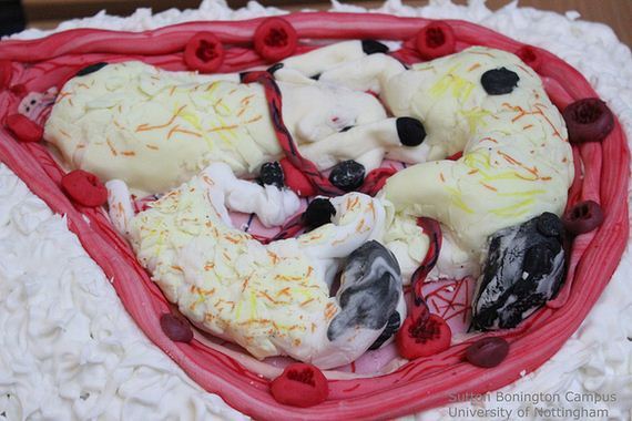 Scientifically-Accurate-Cakes