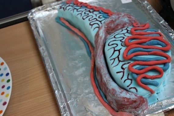 Scientifically-Accurate-Cakes