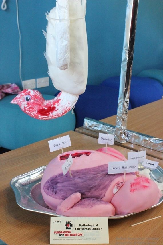 Scientifically-Accurate-Cakes