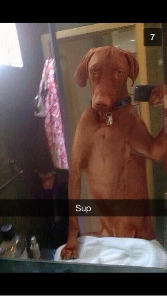 Super-Funny-Snapchat-Photos