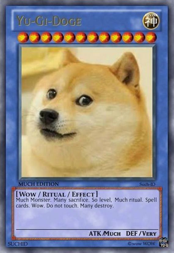 The-Best-Doge-Meme