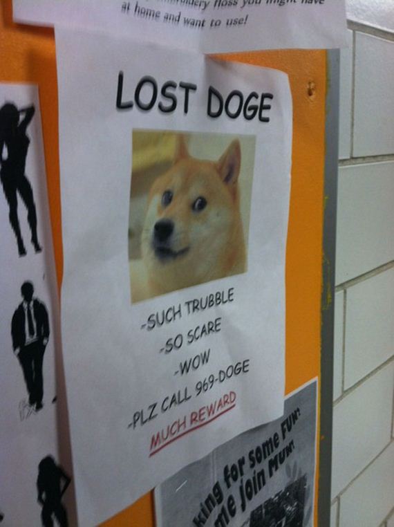 The-Best-Doge-Meme