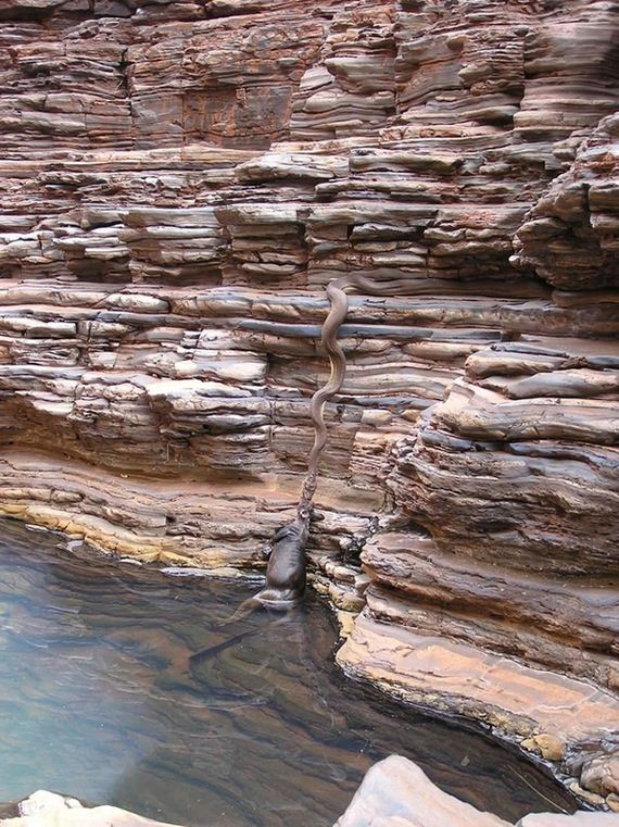 Visit-Australia