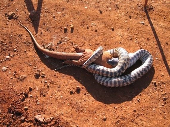 Visit-Australia