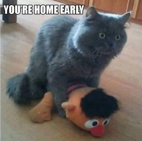 Well-This-is-Awkward