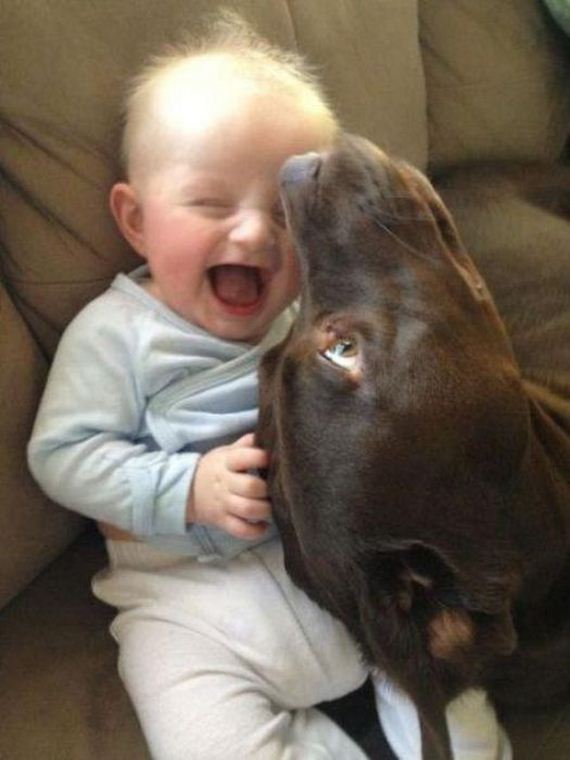 a_few_of_lifes_pure_joy_moments