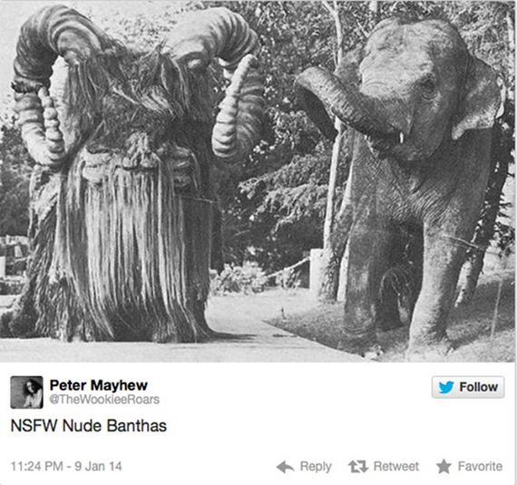 actor_played_chewbacca_twitter
