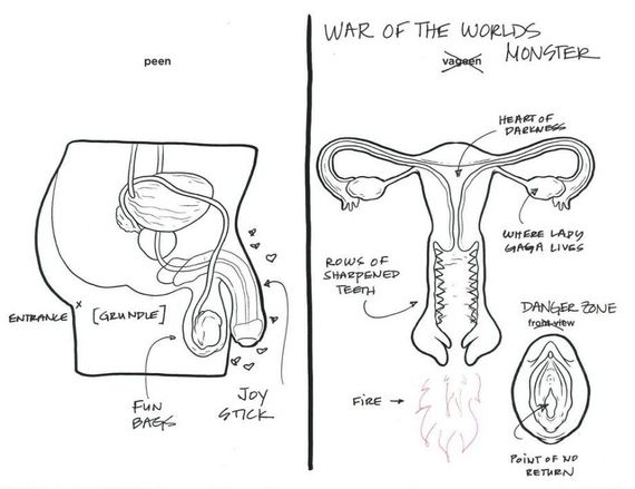 adults-asked-label-reproductive-system