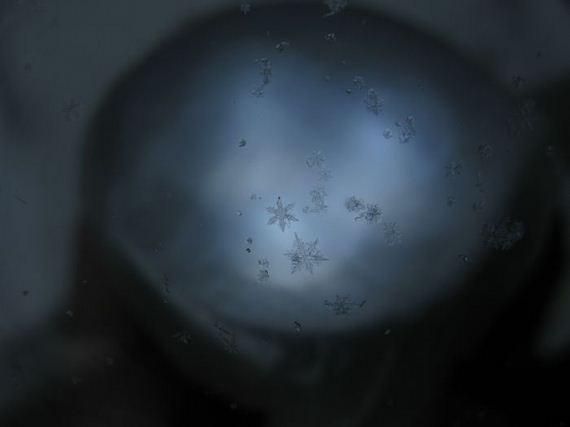 amazing_close_ups_snowflakes